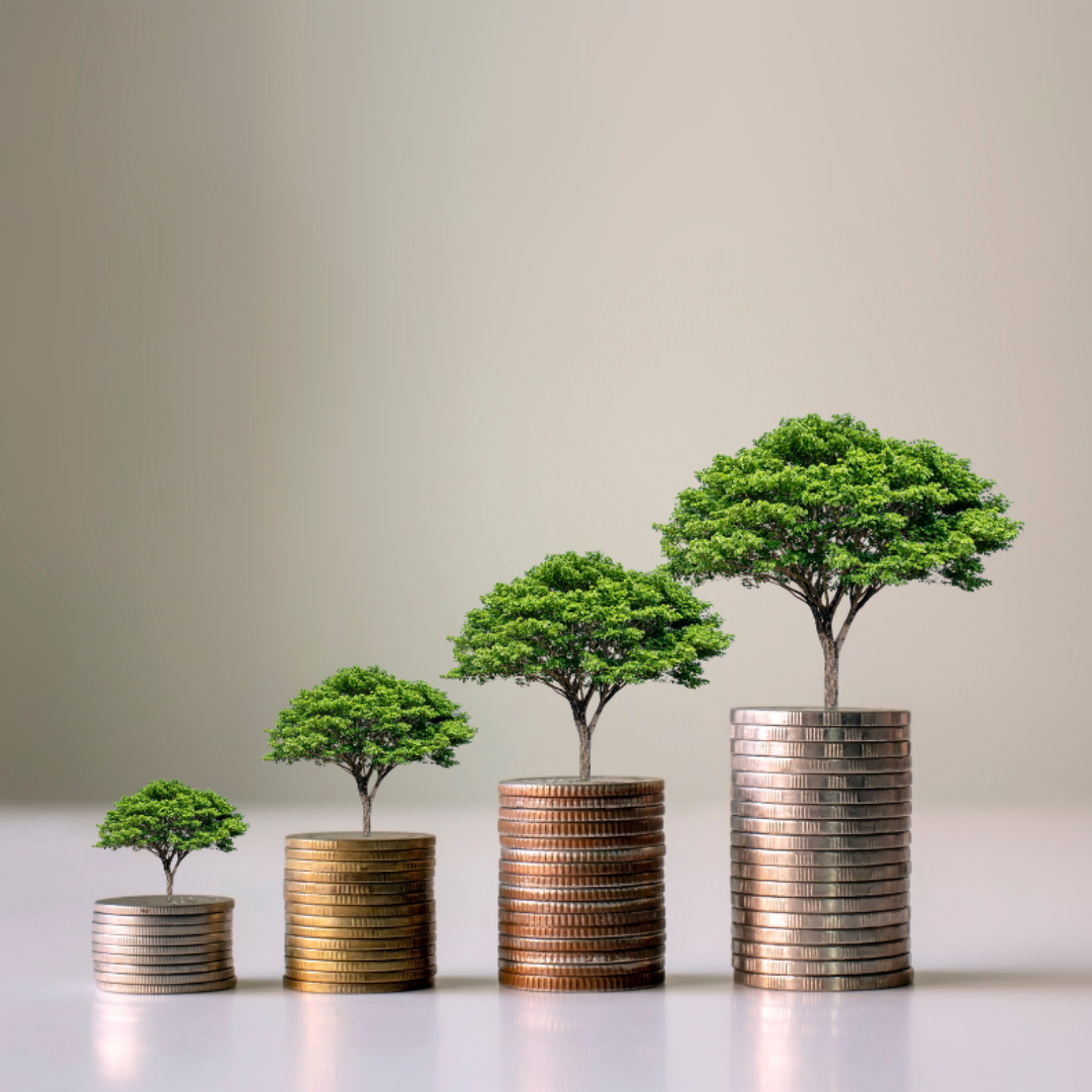 image of trees growing out of coins