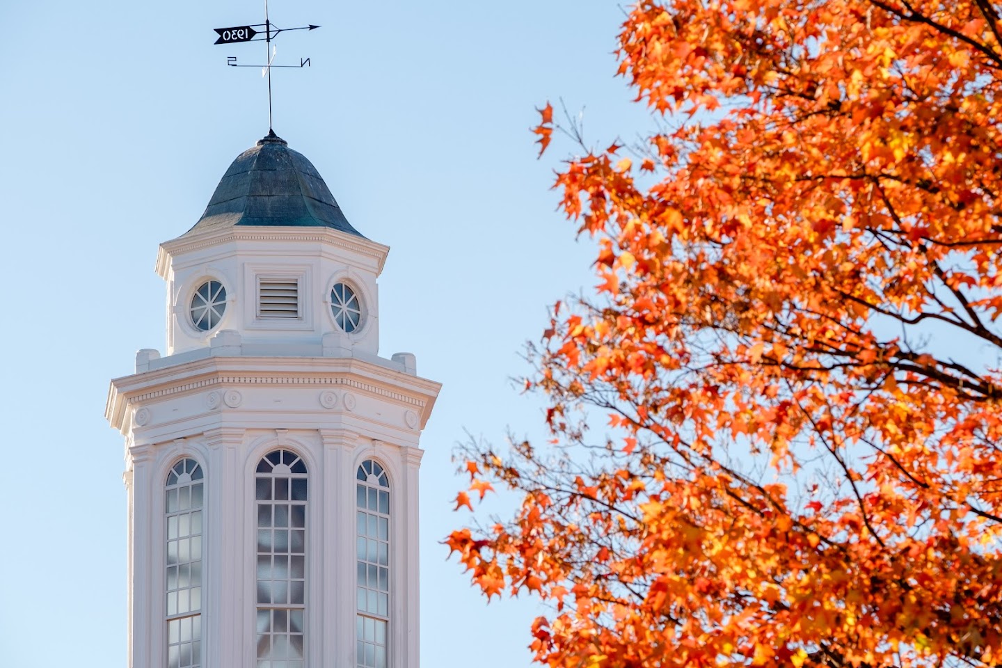 image for Equal Opportunity