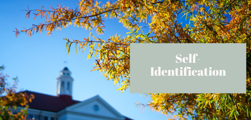 Self-Identification_1.png
