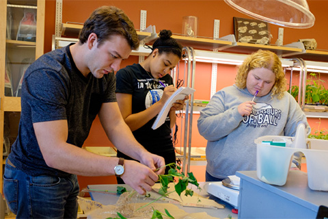 Students in science lab