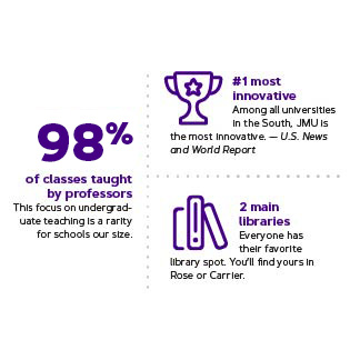 Info graphic example 6: cluster of mulitple infographics with dark purple text on white background