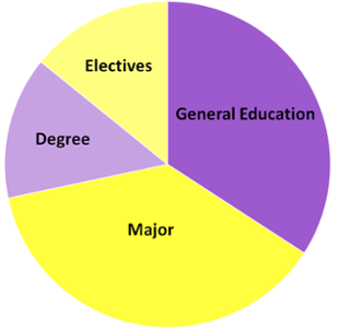 Academic Requirements Pie Chart