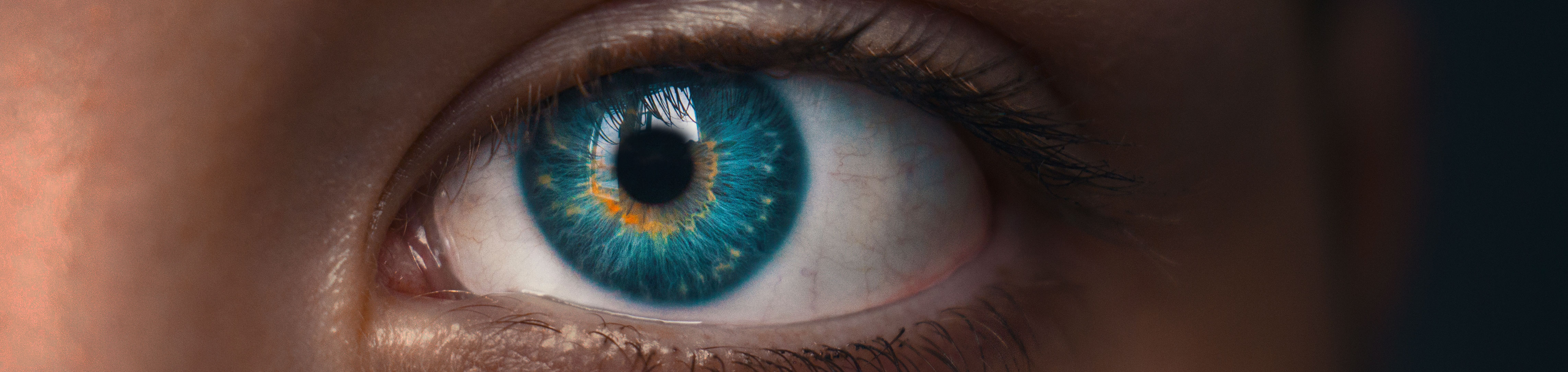image for The Effects of Ocular Dominance  on Visual Processing