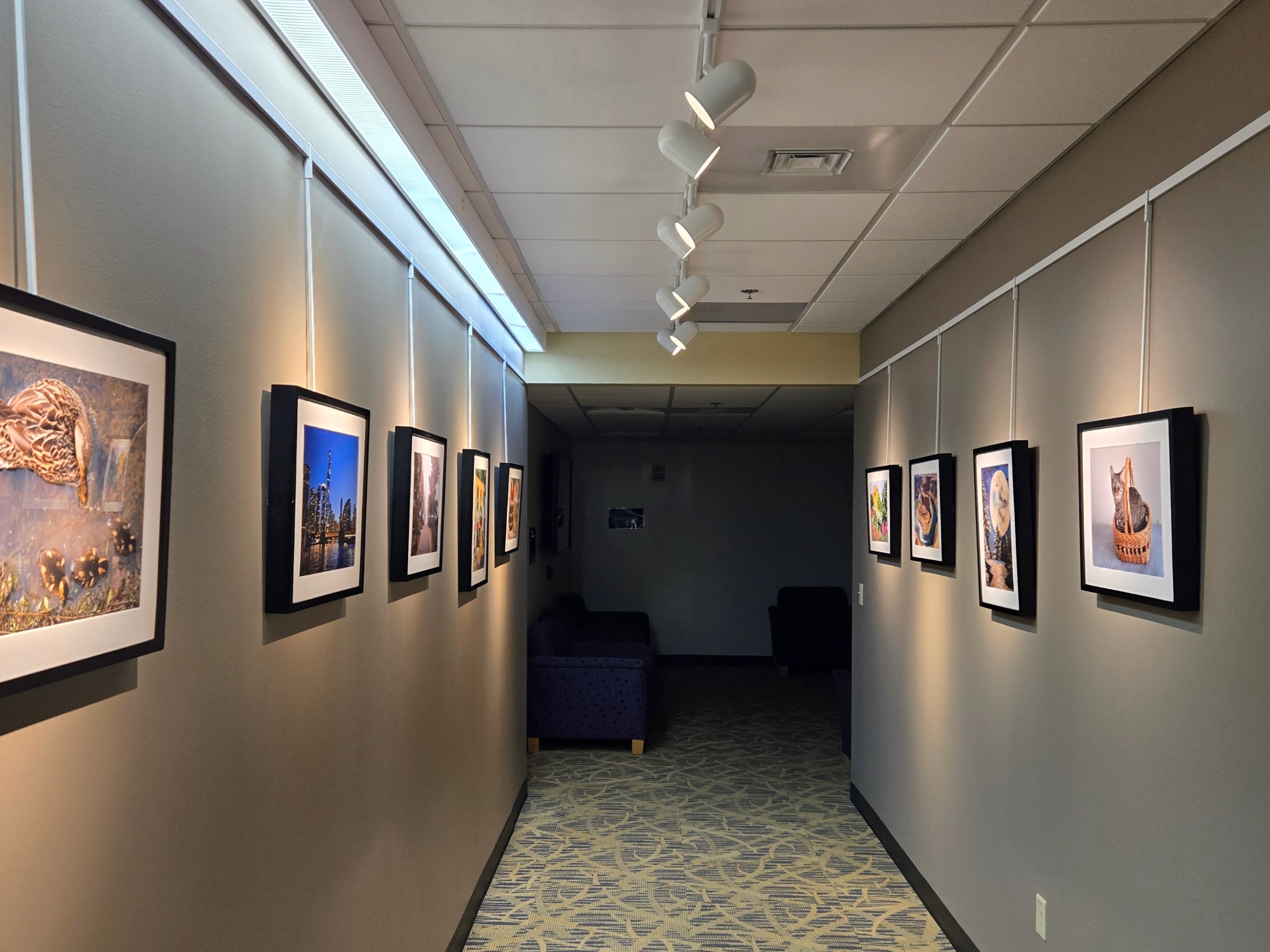 Photograph of micro-gallery hallway with artwork on either side of the hall