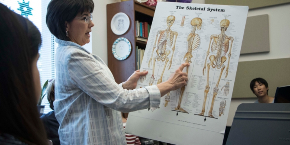 Piano professor showing skeleton anatomy