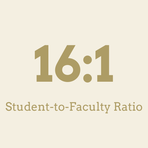 16 to 1 student to faculty ratio