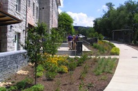 Photo of the gardens outside Wayland Hall