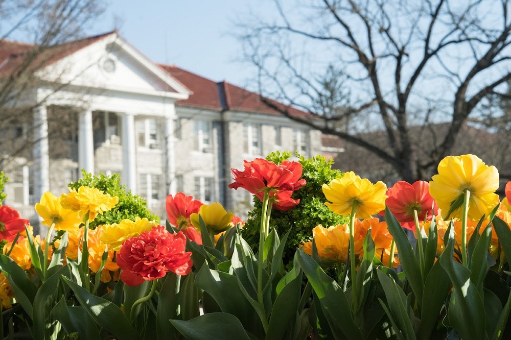 234504-Spring-Flowers-by-Duke,-Cleveland-Hall-1023.jpg