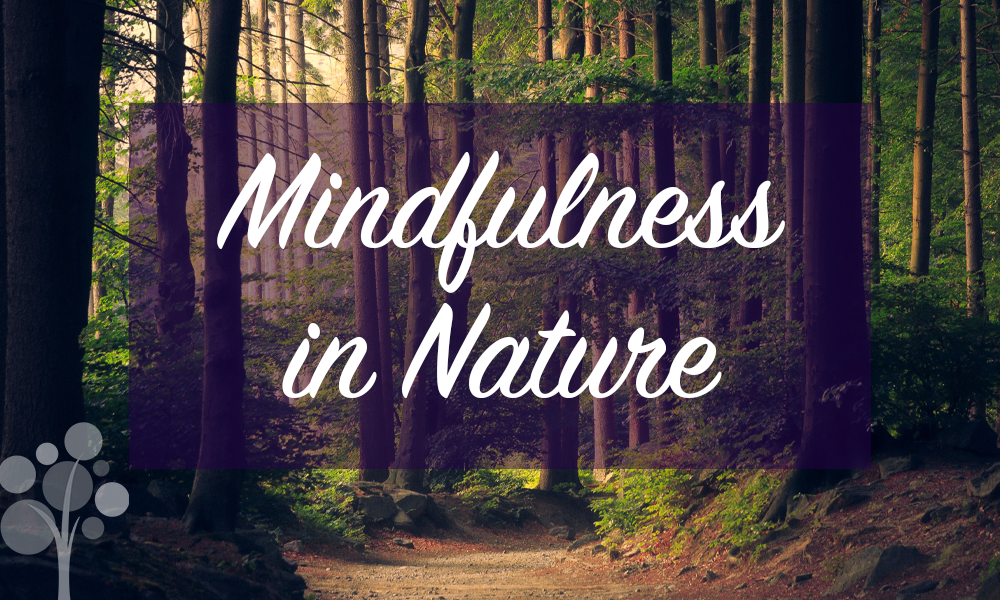 Mindfulness in - JMU