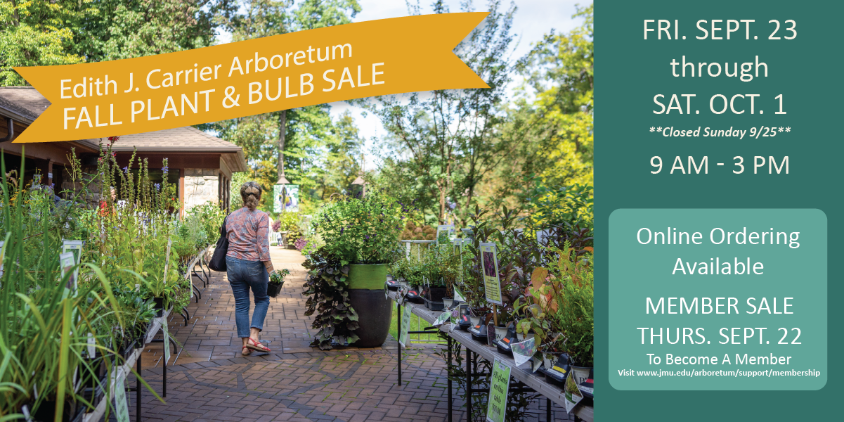 fall_plant_sale_ad_for_madison_family_newsletter.png