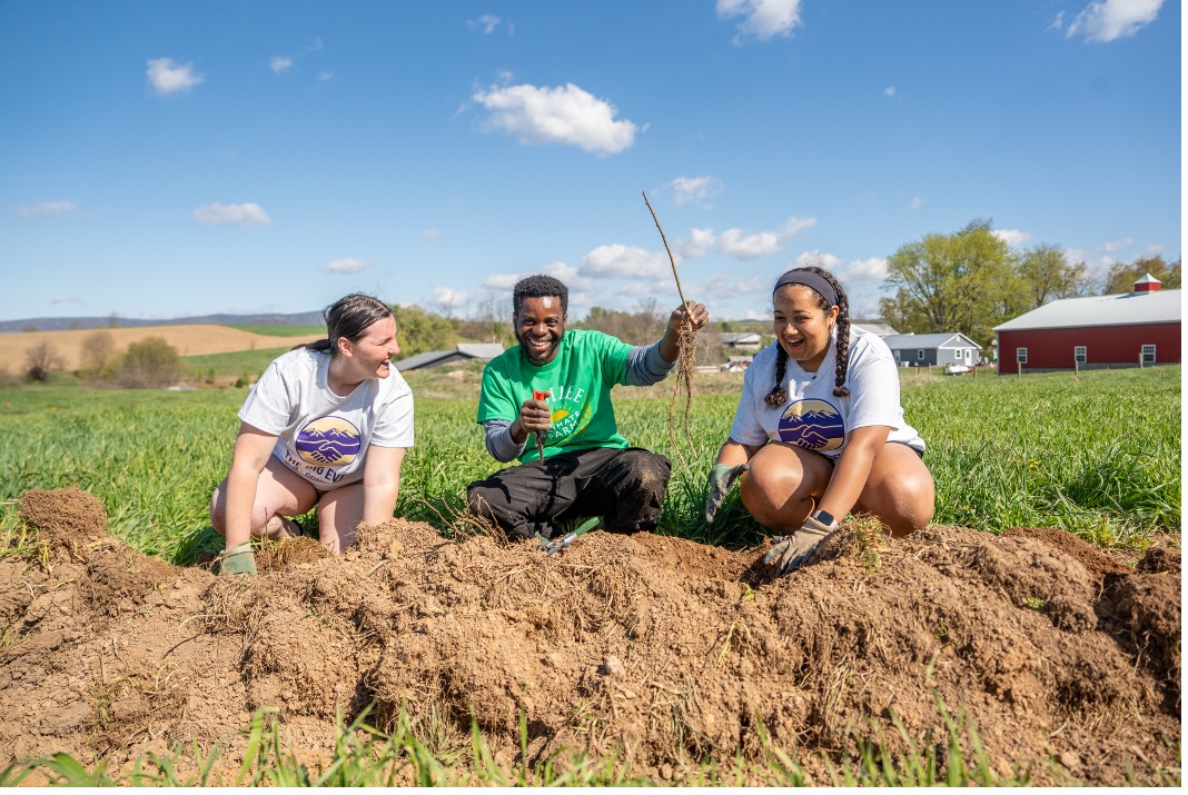 students planting trees