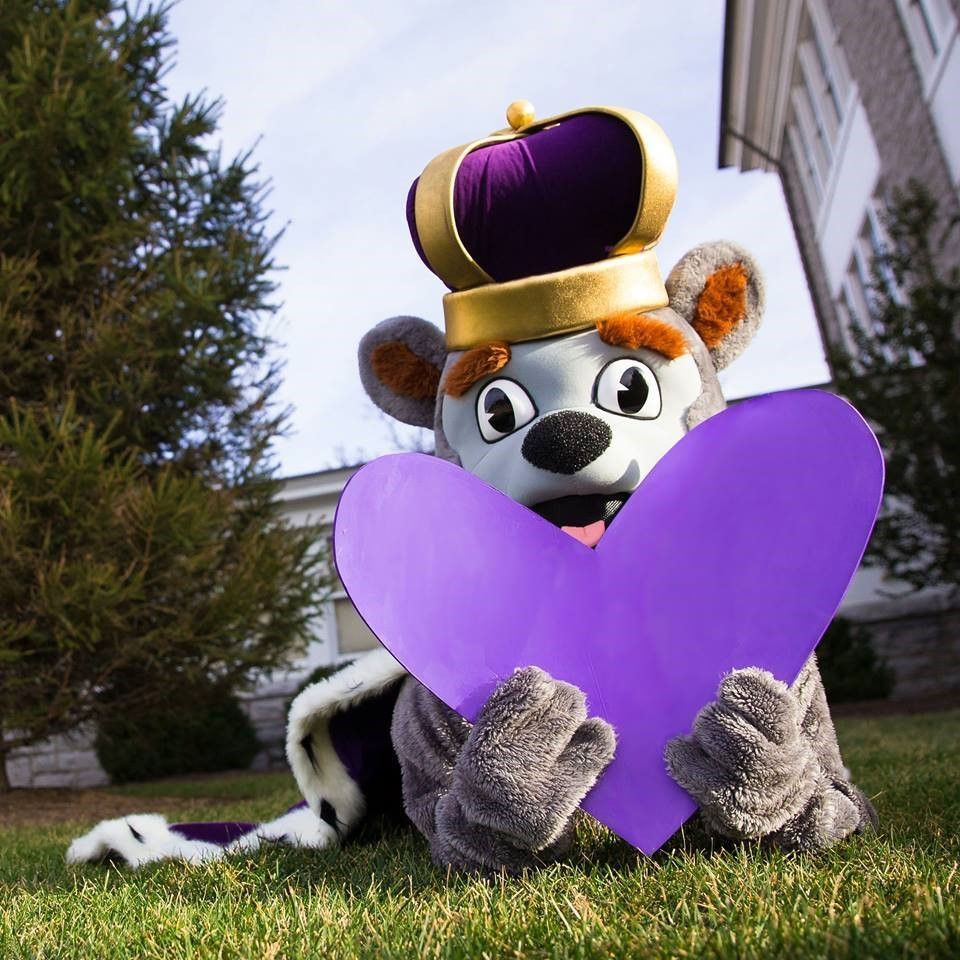 Duke Dog holding a purple heart