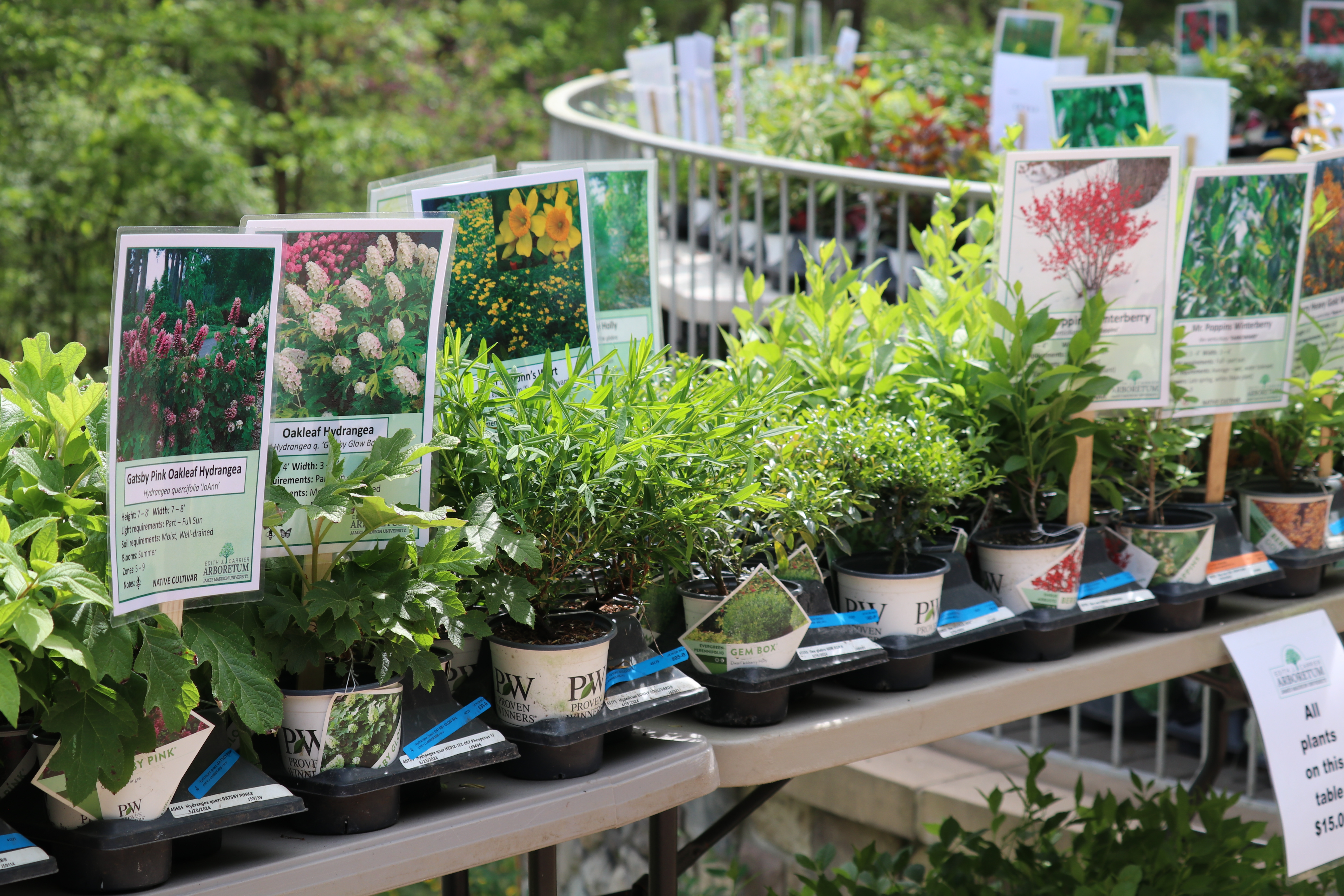 Photo of different plants with their names and information.