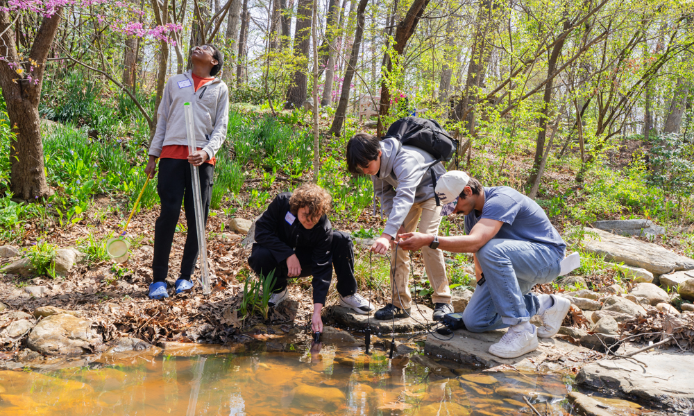 students testing water at arboretum