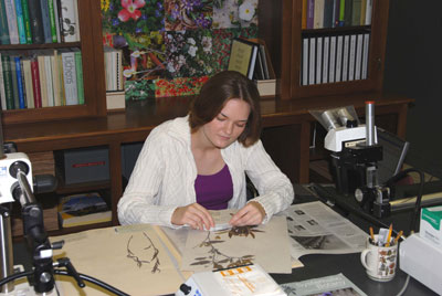 Julia Stutzman in the lab.