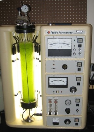 bioreactor