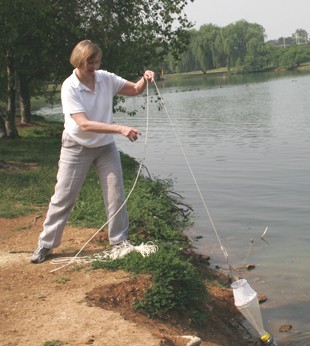 netting copepods