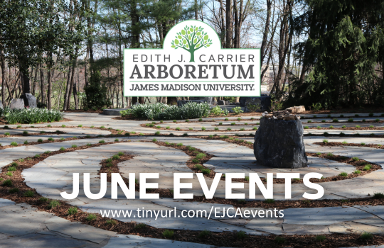 EJC Arboretum June Events