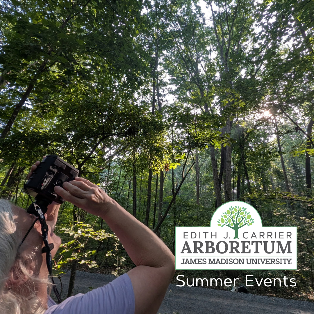 person with binoculars looking at the sky