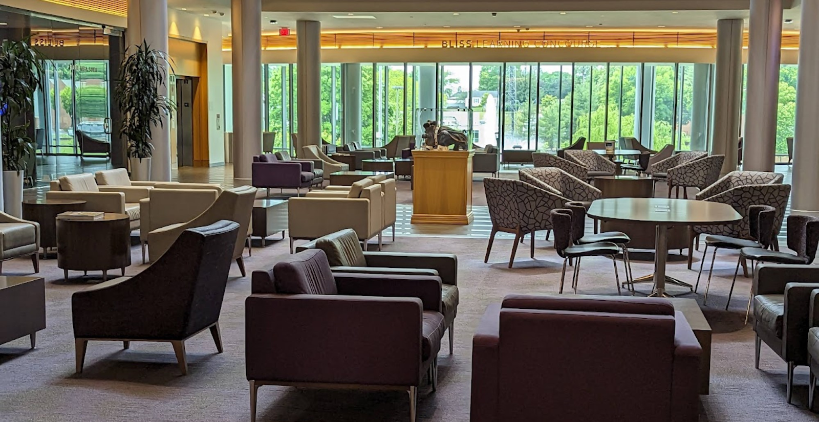 Study spaces in the libraries