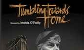 Tumbling_toward_home_th.png