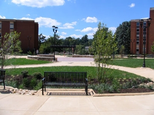 Lake Area Courtyard