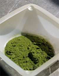 Dried algae in a cup