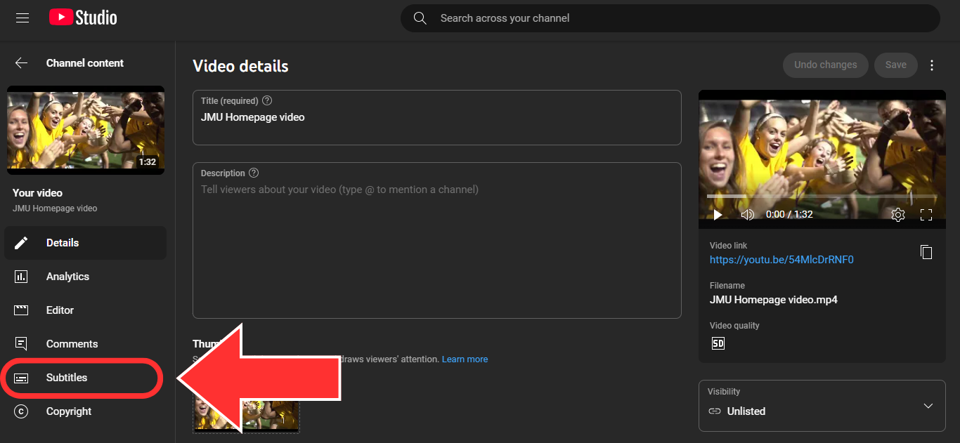 Screenshot of the YouTube Studio Video Details page. An arrow points to the "subtitles" tab in the left navigation.
