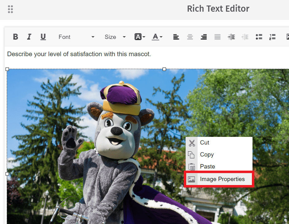 rich text editor with image properties option highlighted
