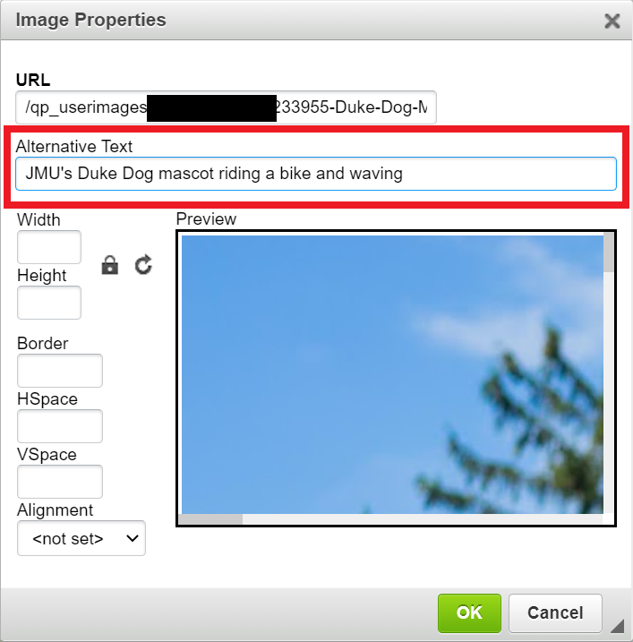 Image properties box with alternative text input highlighted