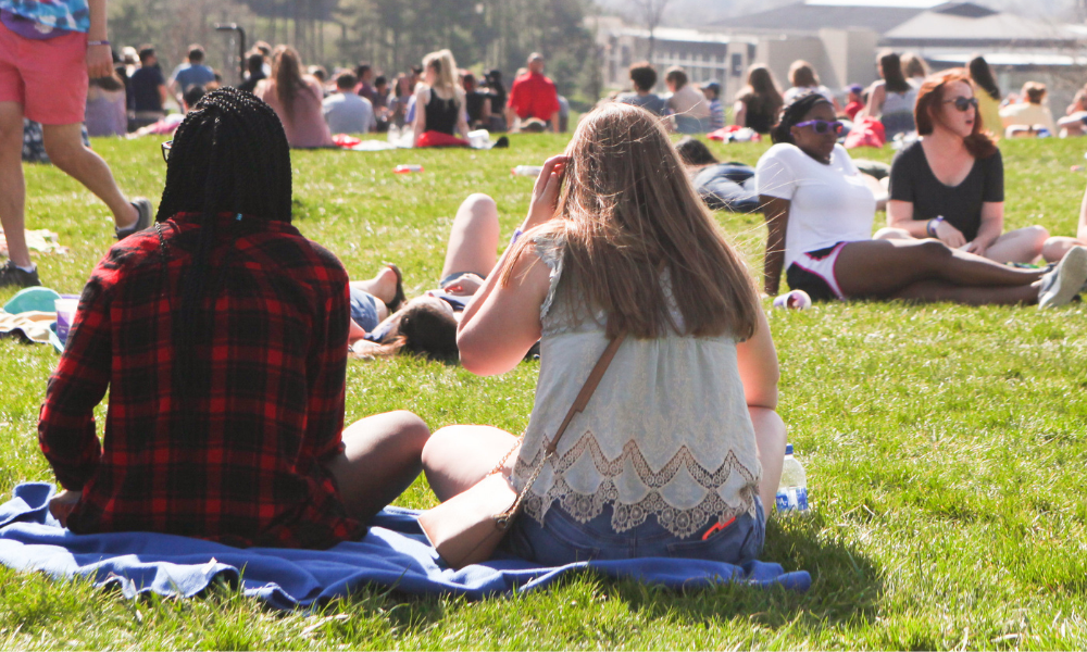 lawn concert