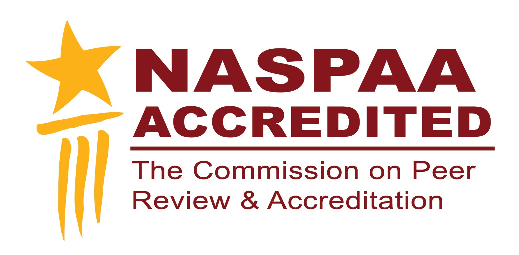 NASPAAA Logo