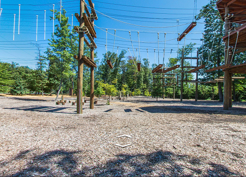 image for TEAM Challenge Course