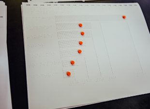 A chart displaying information in braille