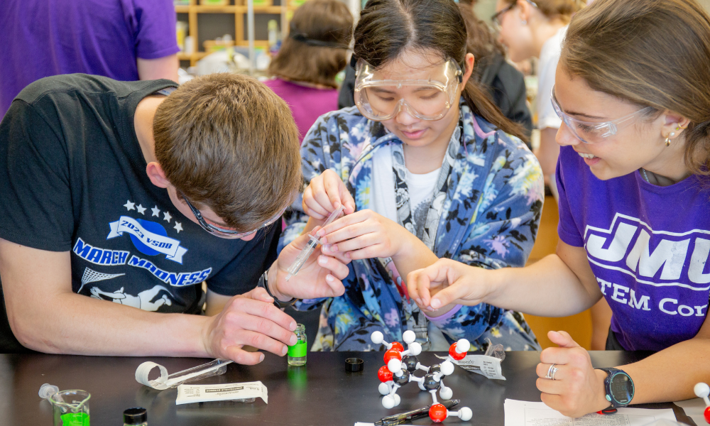 VSDB students working with STEM Corps volunteers on a chemistry lab experiment