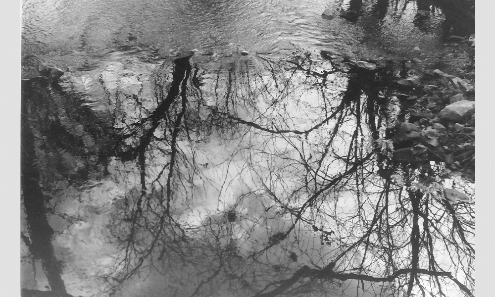 student photography example