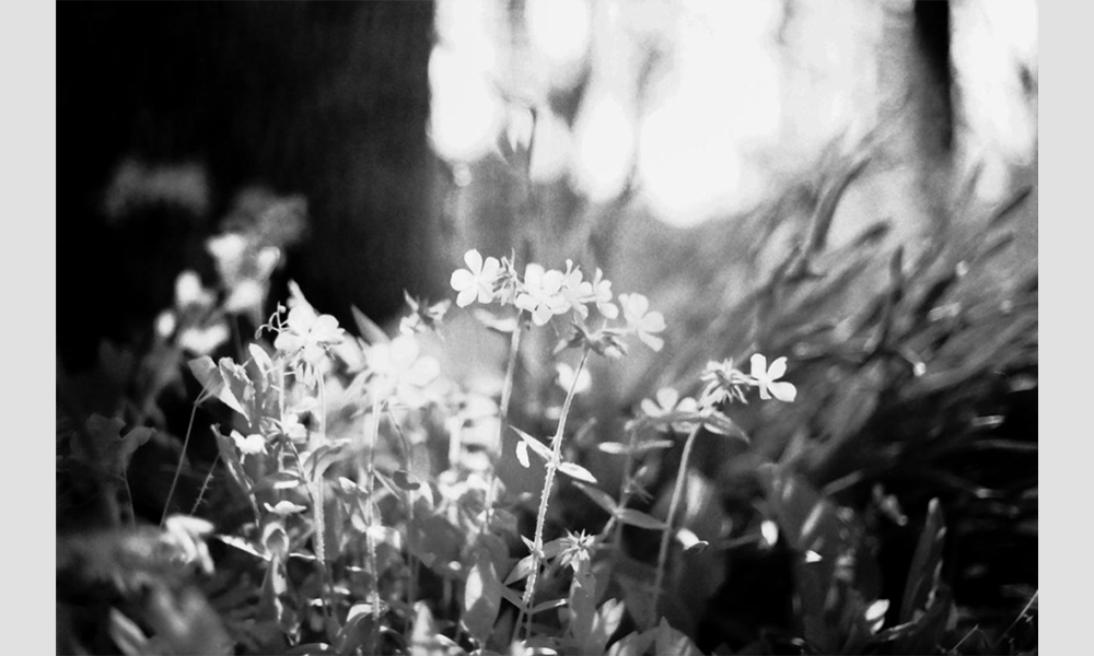 student photography example