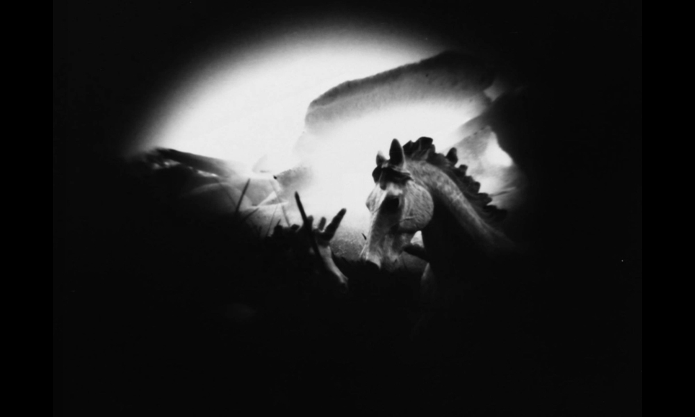 student photography example