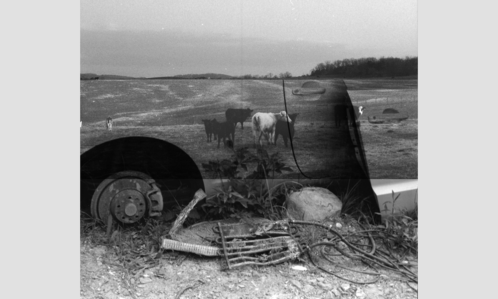 student photography example