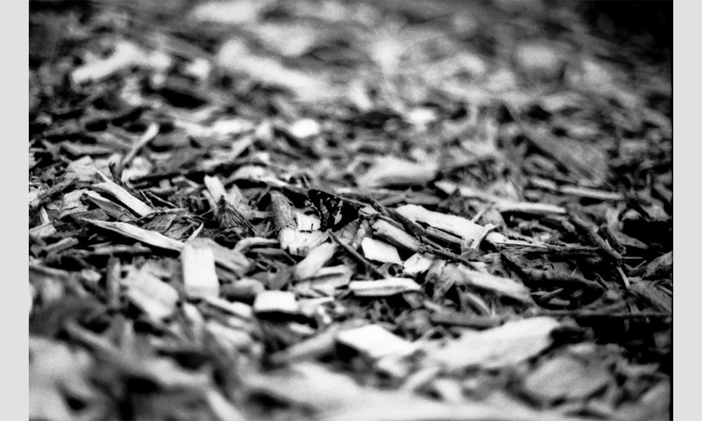 student photography example