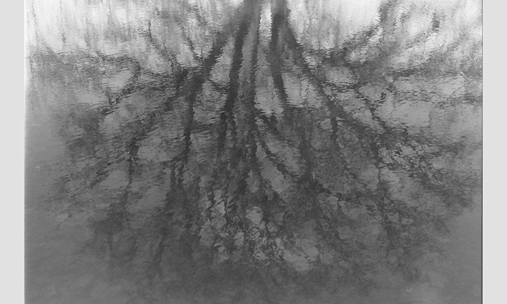 student photography example