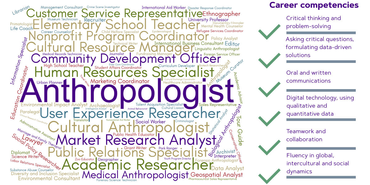Anthropology careers wordcloud
