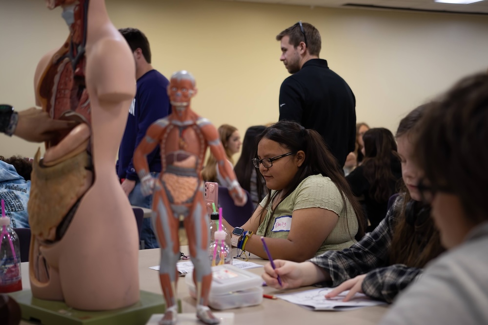 Students sit at a table working in a classroom lab with human anatomy models displayed in the foreground.