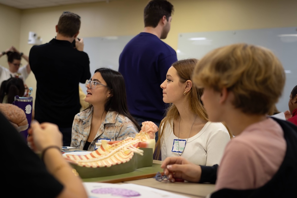 Students sit around a table in a classroom, talking during a lab activity with a plastic brain model in the foreground.