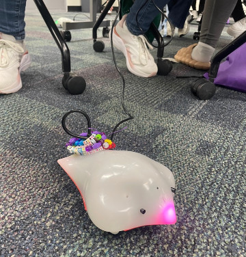 image for Finch Robots