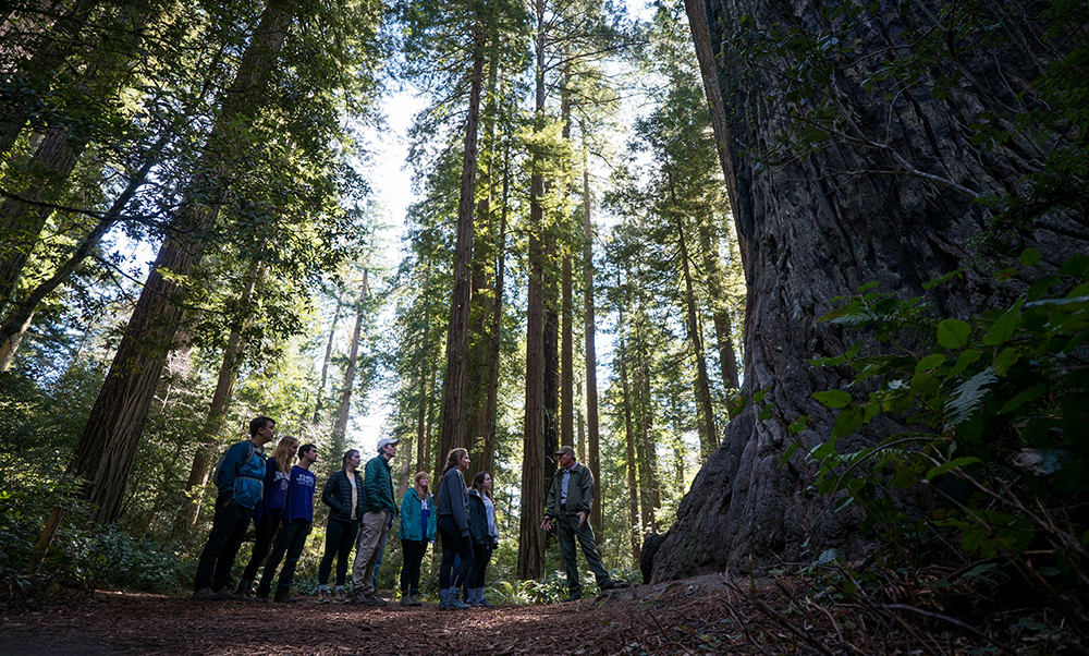 Group of university students and instructor in a forest