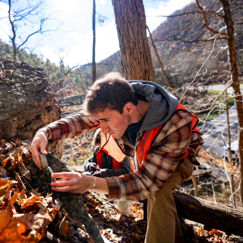 student using measuring device on rock landscape