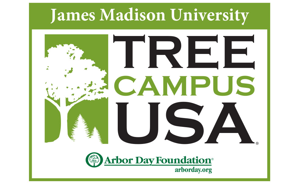 treecampus1000x600.jpg
