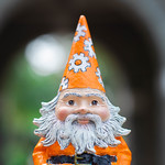 Profile Image for Gnorman Gnome