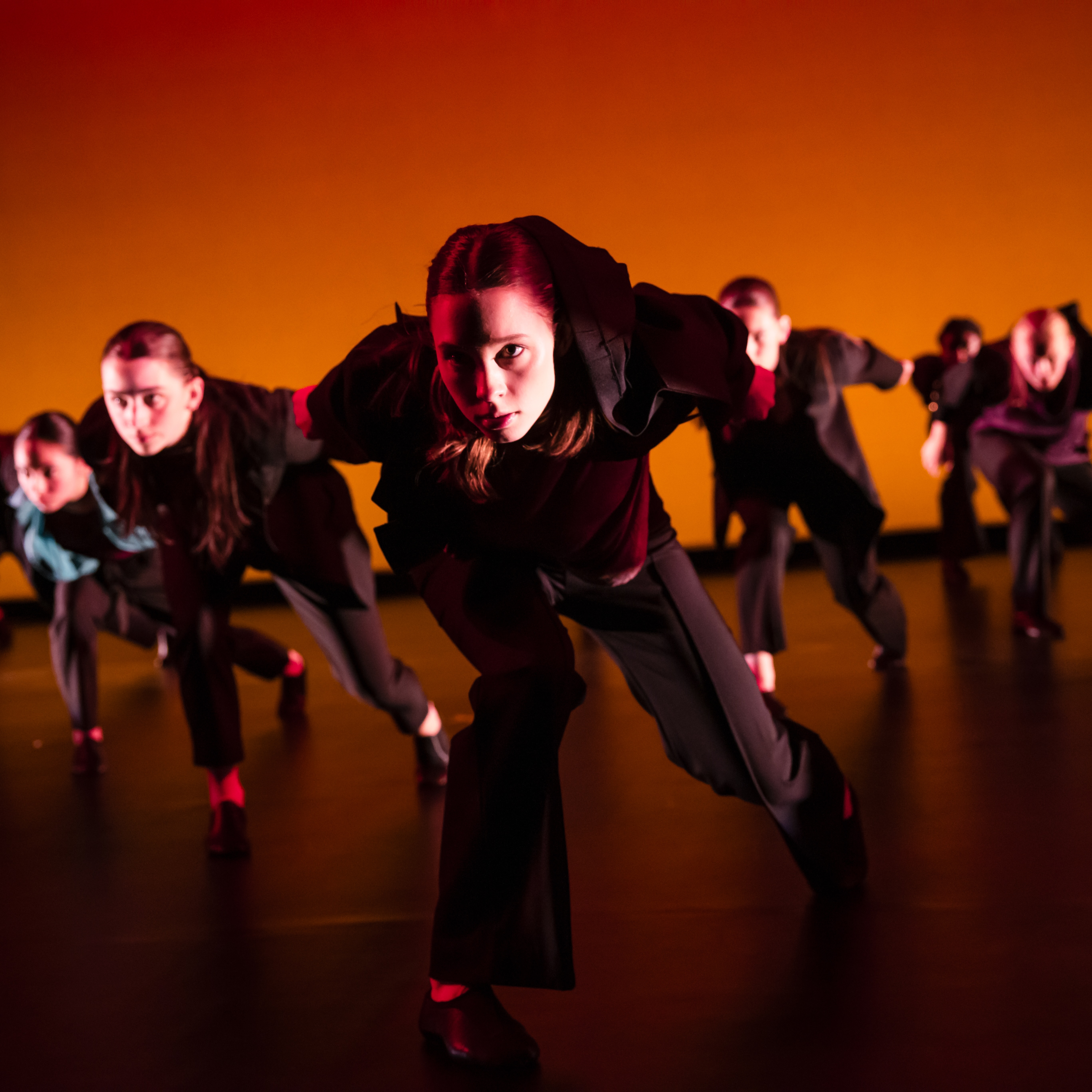 image for Dance B.A. and B.F.A.